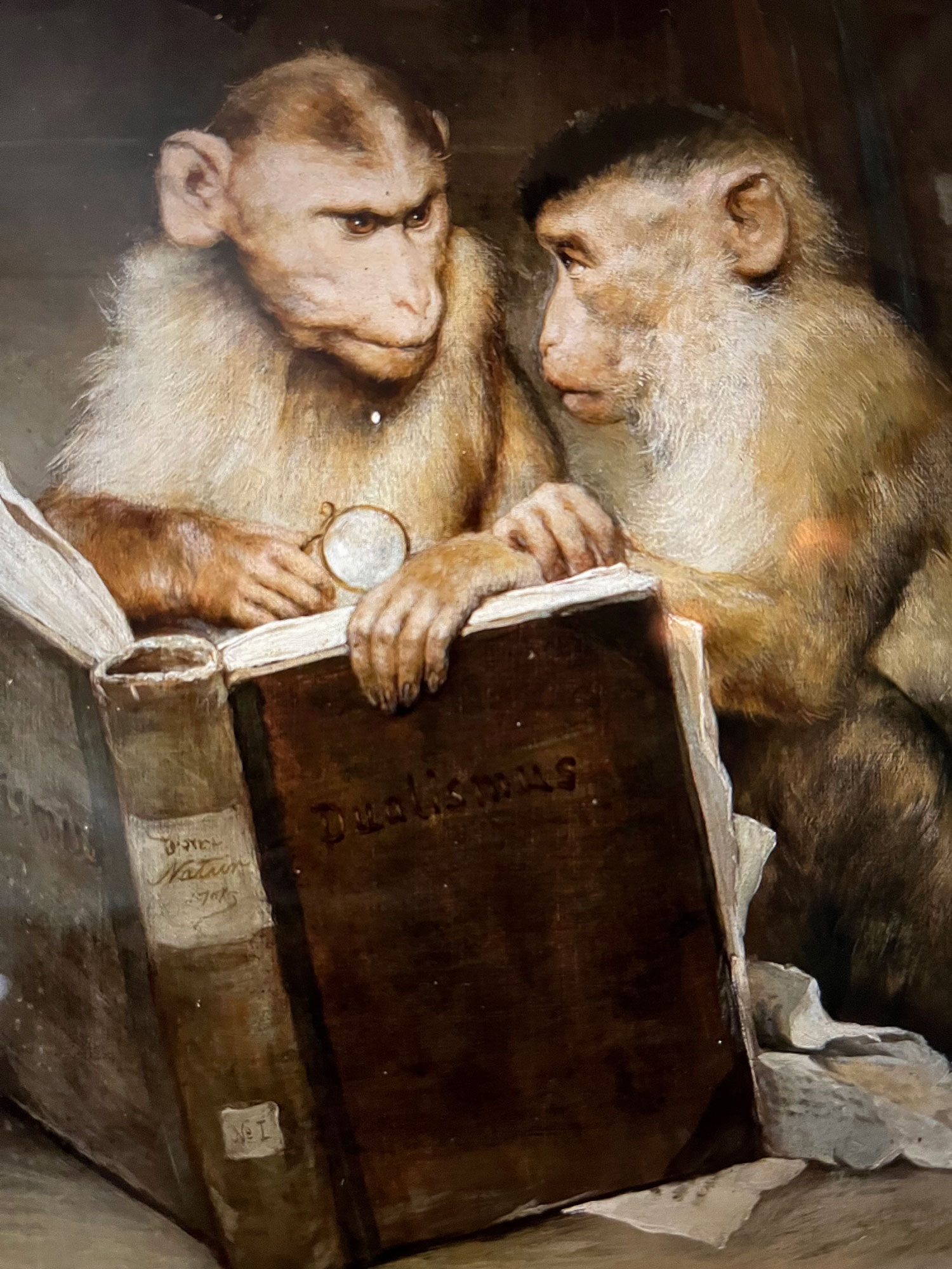 Two monkeys reading a book